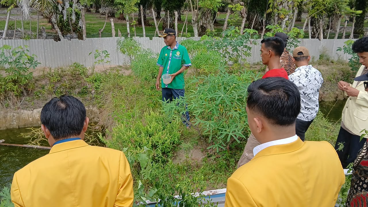 Tekan Biaya Pakan Ternak, Tim UNP Kembangkan Budidaya Azolla di Pesisir Selatan