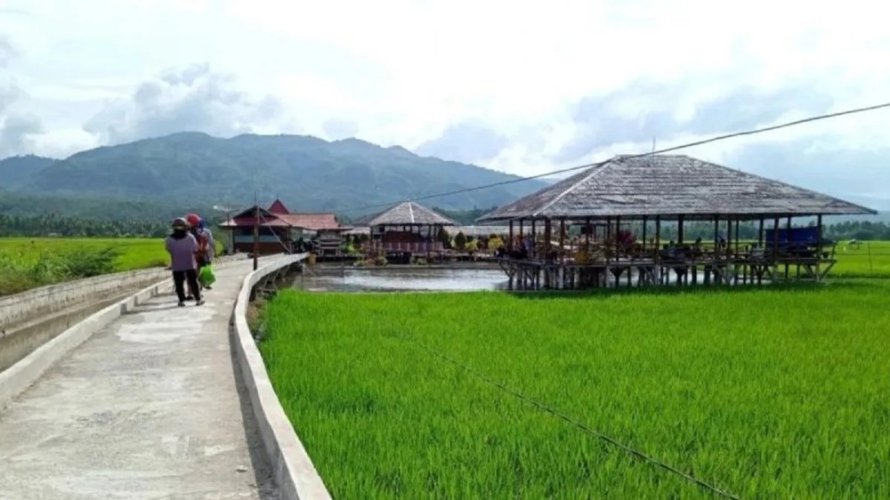 Pemkab Solok Pertahankan Lahan Sawah, Ini Upaya yang Dilakukan