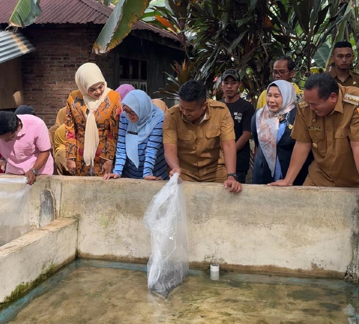 Pemprov Sumbar Dorong Ekonomi Lokal, Serahkan 100 Induk Lele Unggul ke Pembudidaya di Kota Pariaman