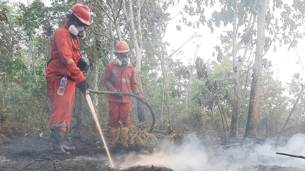 Titik Api di Sumbar Turun Lebih dari 50 Persen, Warga Diminta Tetap Waspada