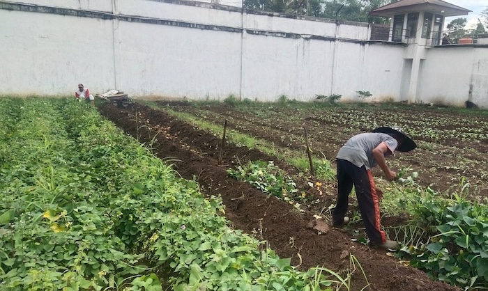 Kanwil Ditjenpas Sumbar Buka Sentra UMKM dan Ketahanan Pangan di Lapas dan Rutan