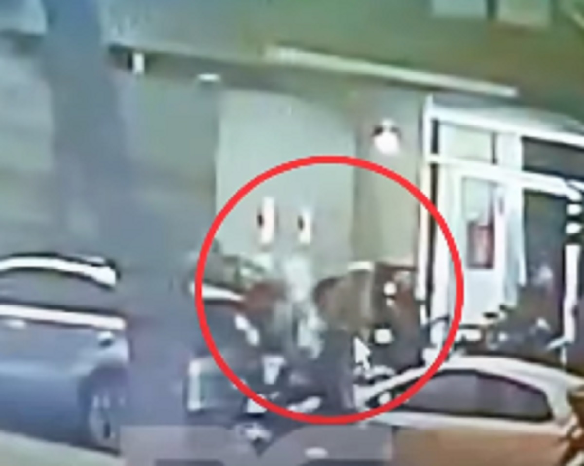 Viral di Medsos, Video Penembakan Brutal Staf KBRI Peru hingga Tewas