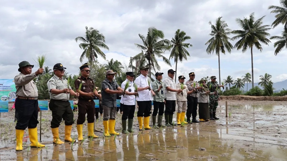 Kementerian Pertanian Rehabilitasi Sawah Terdampak Bencana di Sumbar