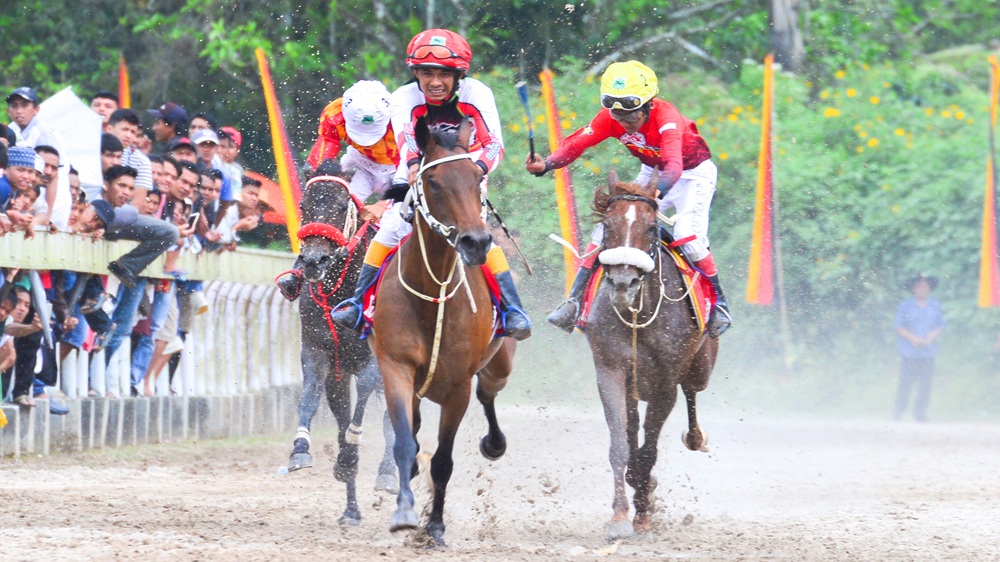 Gubernur Sumbar: Padang Pariaman Pacu Kudo 2026 Perkuat Pariwisata Daerah
