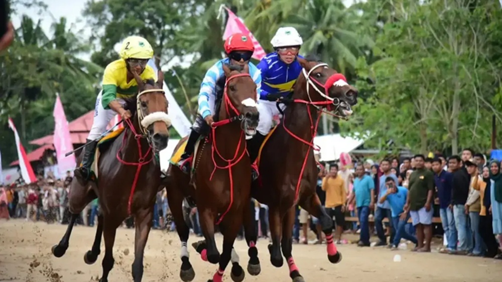 Padang Pariaman Pacu Kudo 2026 Beri Dampak Positif pada Pariwisata dan UMKM