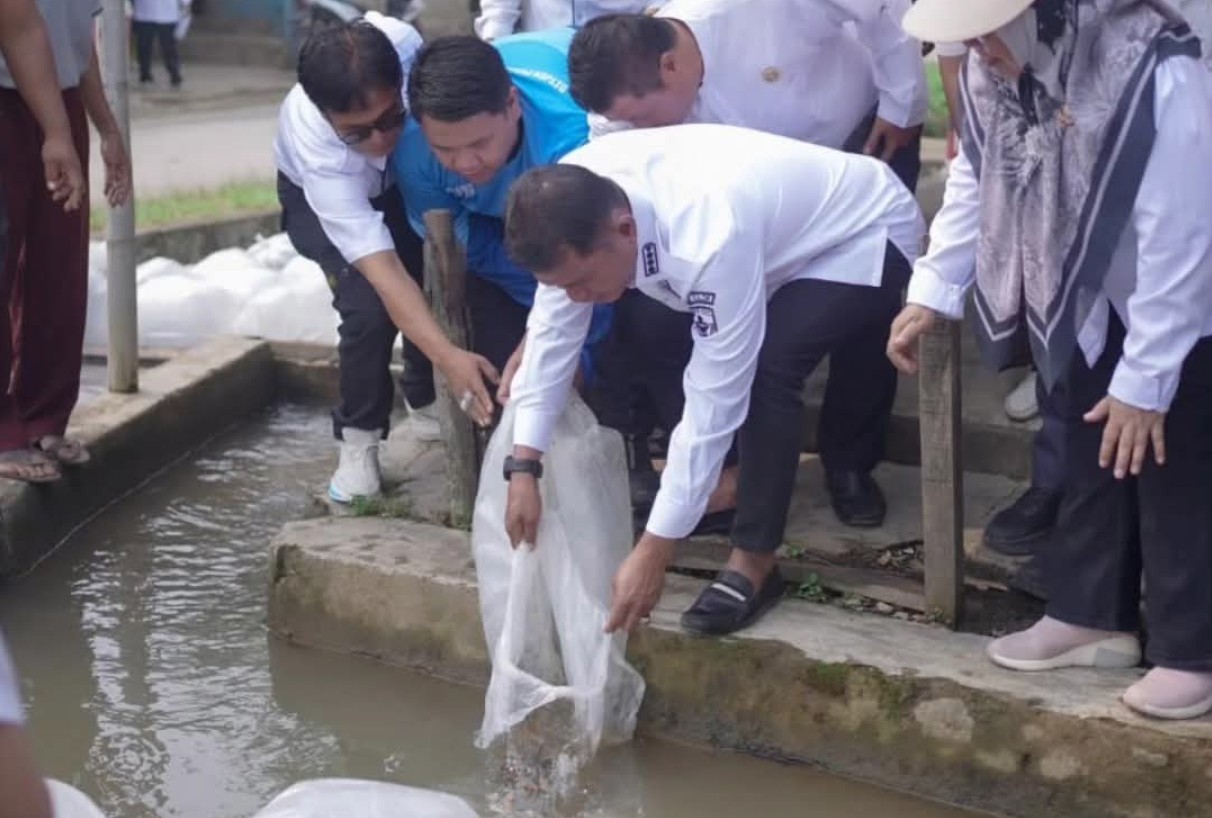 Bupati Solok Salurkan Bantuan Bibit Ikan dari Presiden kepada Masyarakat Koto Sani