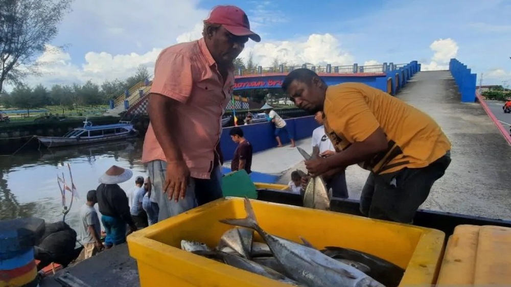 Strategi Nelayan Pariaman Menghadapi Cuaca Buruk demi Pasokan Ikan