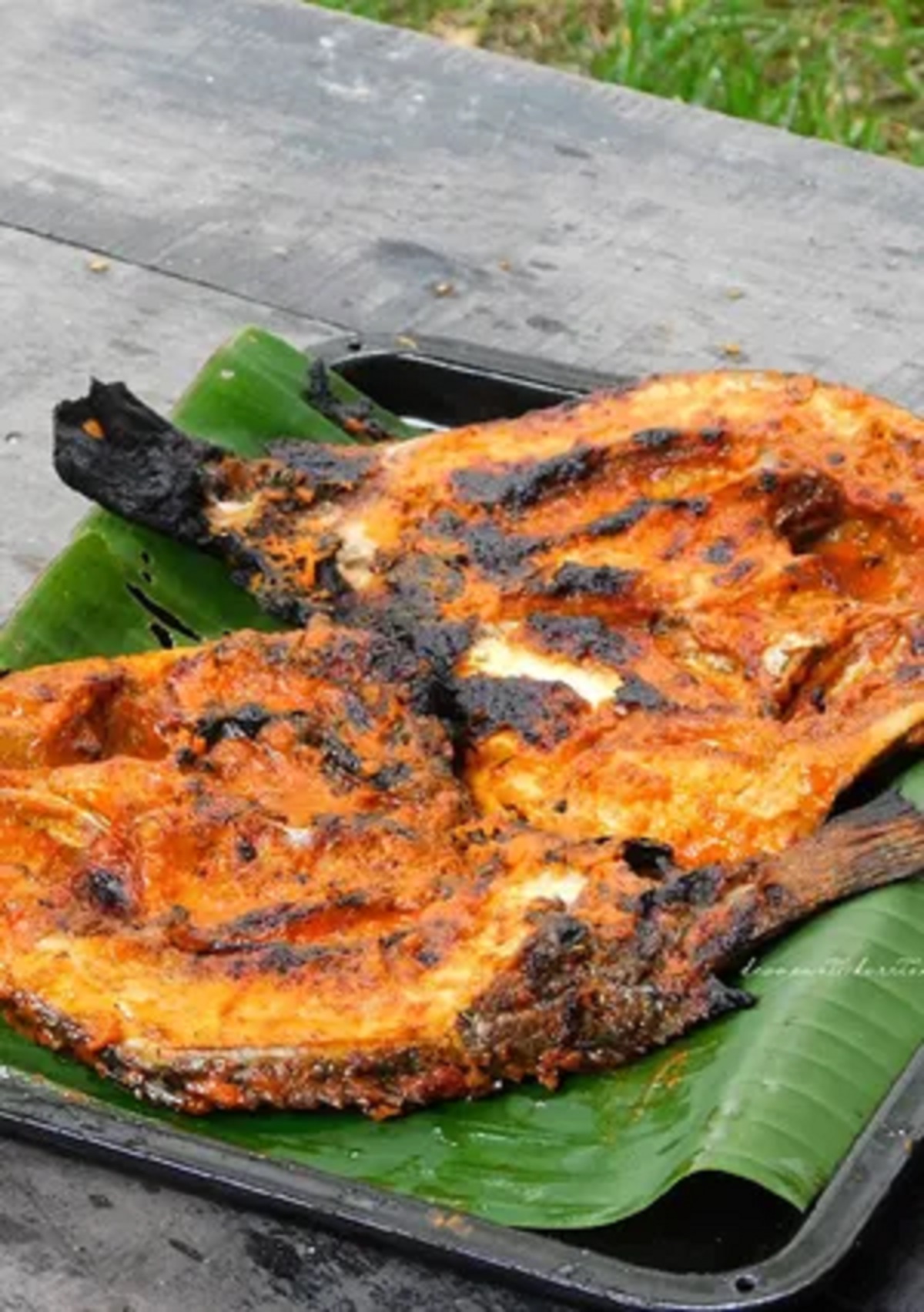 Rahasia Kelezatan Ikan Bakar Padang: Kaya Rempah dan Meresap Hingga ke Tulang