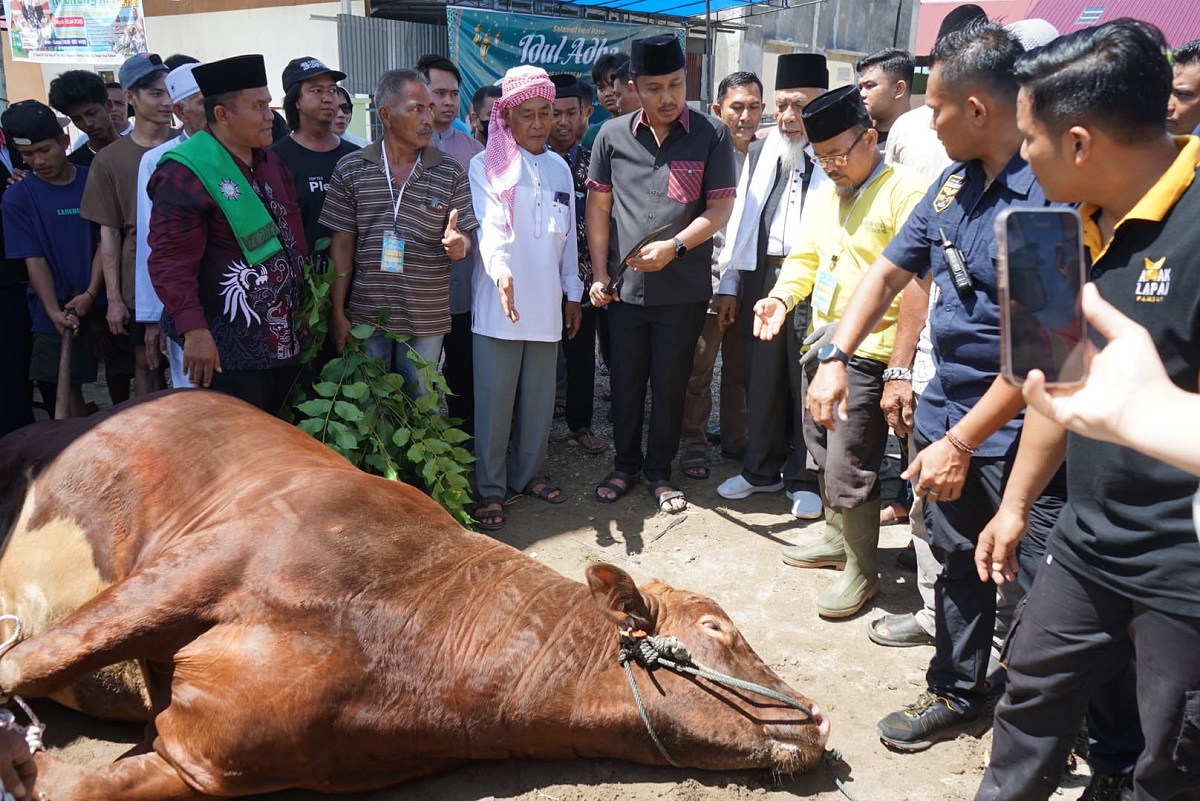 Presiden Kirim Sapi Kurban ke Ponpes Minangkabau, Penyerahan Diwakili Wagub Sumbar