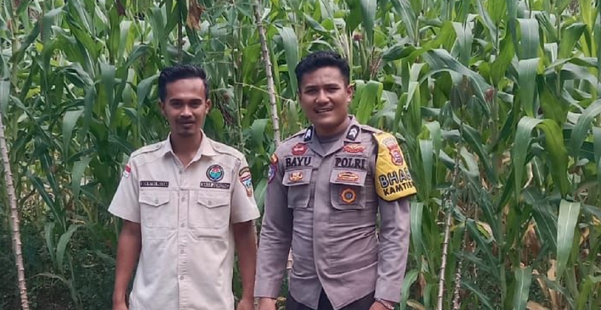Bhabinkamtibmas Jadi Petani Inspiratif, Gagasan Ketahanan Pangan Prabowo Tumbuh di Solok Selatan