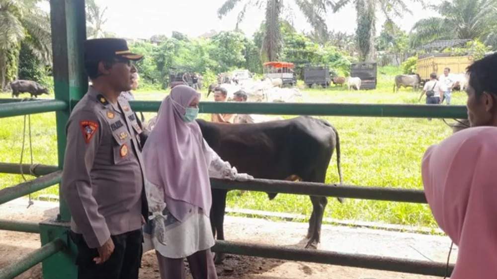 Antisipasi Pencurian Ternak, Polres Pasaman Barat Minta Peternak Perketat Keamanan Kandang