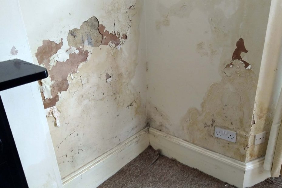 5 Langkah Ampuh Atasi Tembok Lembap di Musim Hujan, Rumah Auto Kering dan Rapi Lagi