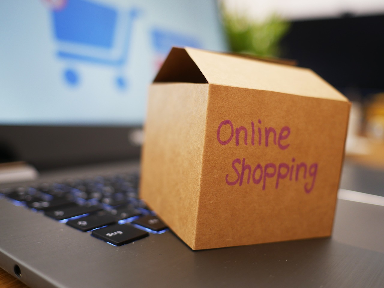 Riset Ipsos 2025: Ungkap Dampak Ekosistem E-Commerce terhadap Pertumbuhan UMKM & Brand Lokal 