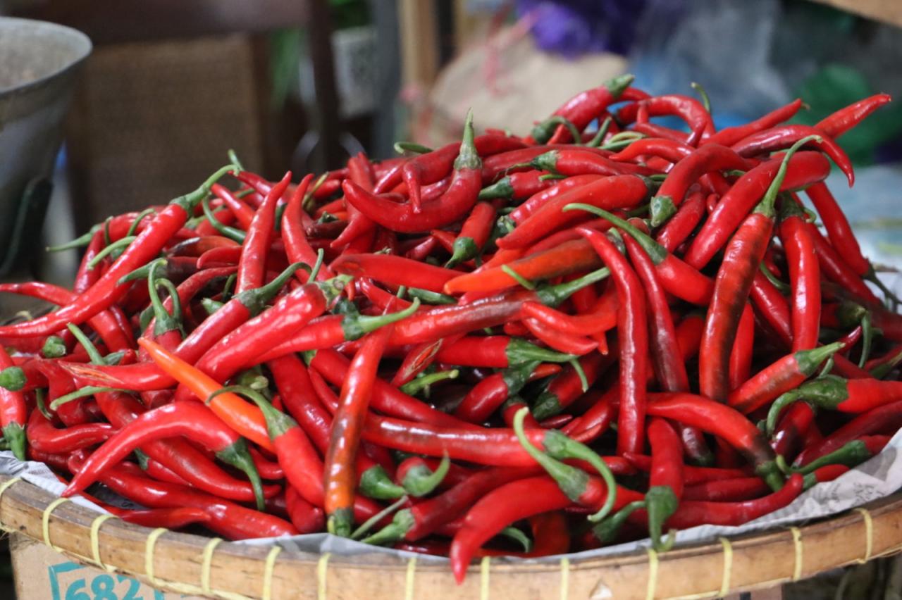 Harga Sejumlah Bahan Pangan di Sumbar Turun, Cabai Merah dan Beras Premium Alami Penurunan Tertajam