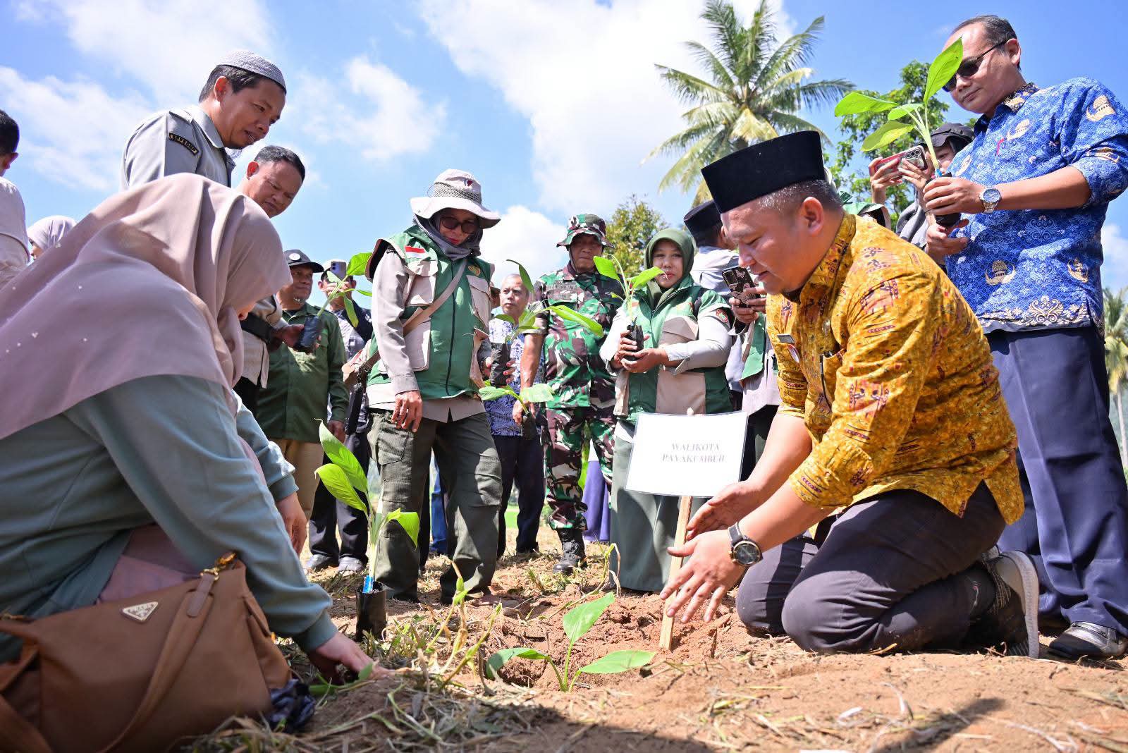 Perkuat Pasokan Program MBG, Pemko Payakumbuh Bagikan 3.000 Bibit Pisang ke Petani