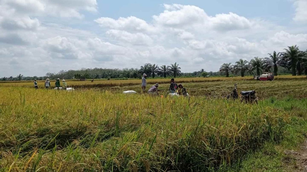 Pemkab Dharmasraya Salurkan Bantuan Pertanian Rp1,9 Miliar pada Petani