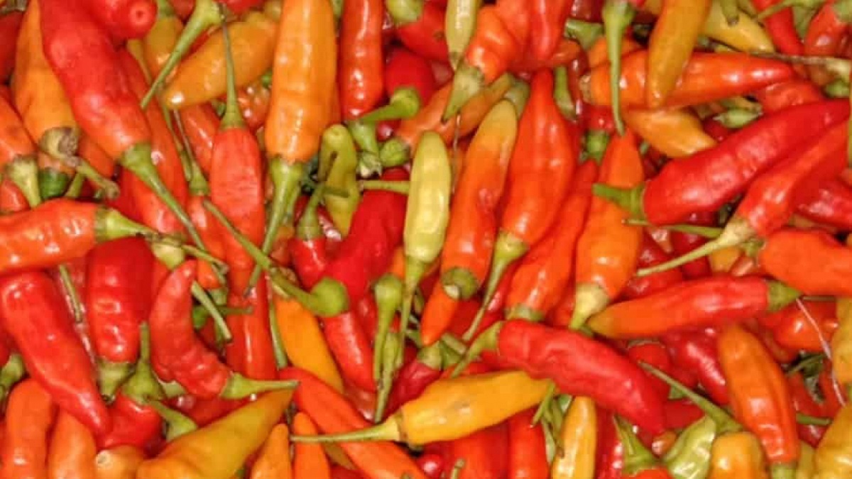 Update Harga Pangan Nasional Sabtu 9 Mei 2026: Cabai Rawit Merah Tembus Rp65.350 per Kg