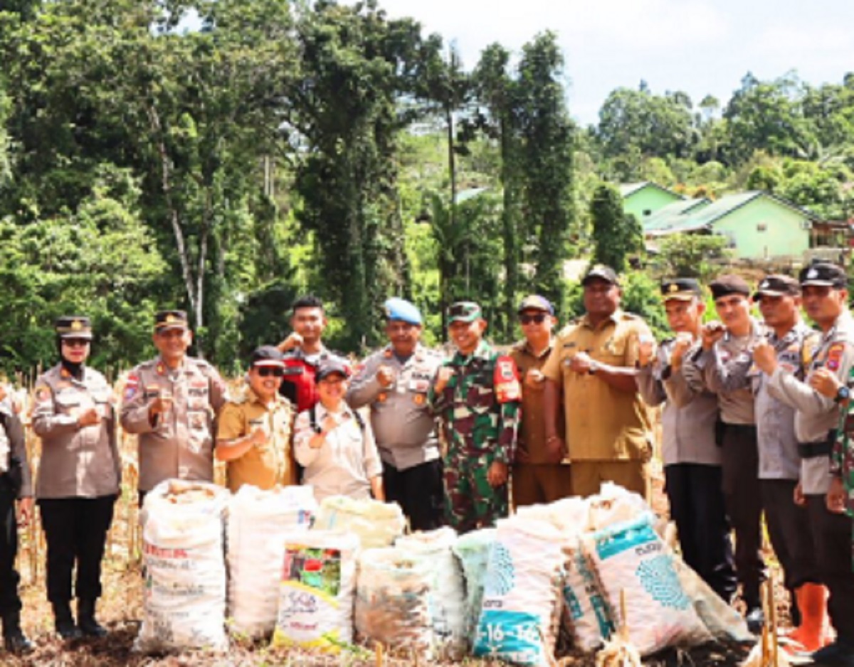 Polres Mentawai Sukses Panen Jagung 3 Ton di Sipora Jaya, Wujud Nyata Ketahanan Pangan