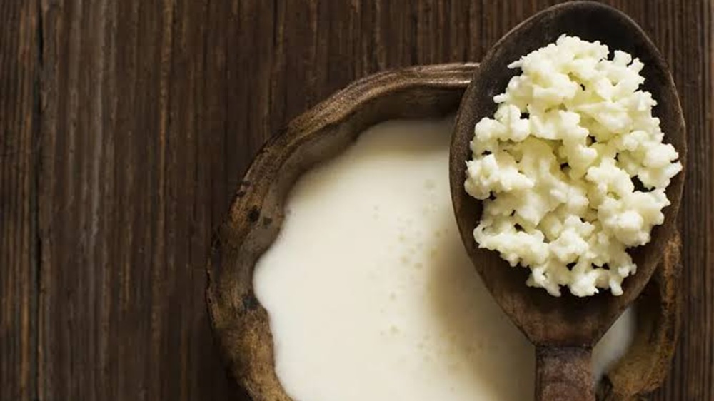 Minuman Probiotik untuk Diet: Ini 4 Pilihan yang Bisa Jadi Alternatif Kombucha