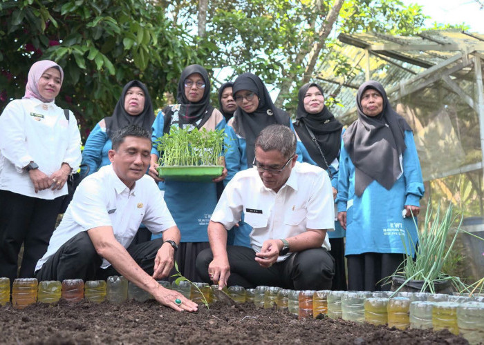 Perkuat Ketahanan Pangan, Pemko Payakumbuh Luncurkan Inovasi GEMPITA BERSAMA dan Bantu 15 KWT