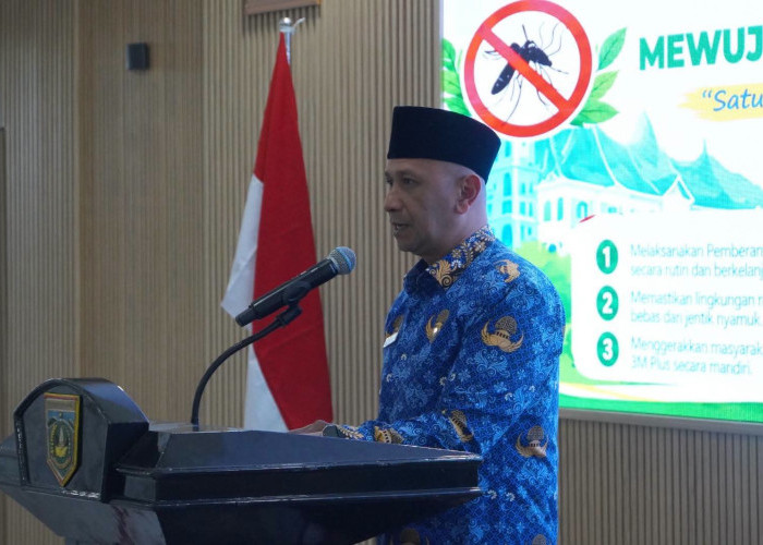 Pertama di Sumbar! Padang Panjang Deklarasikan Komitmen Kelurahan Bebas Jentik