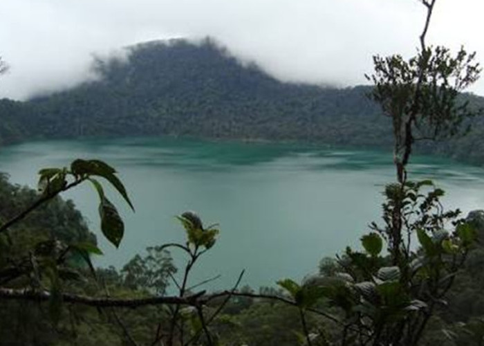 Danau Laut Tinggal Pasaman Barat, Pesona Danau Toska di Tengah Hutan Pegunungan