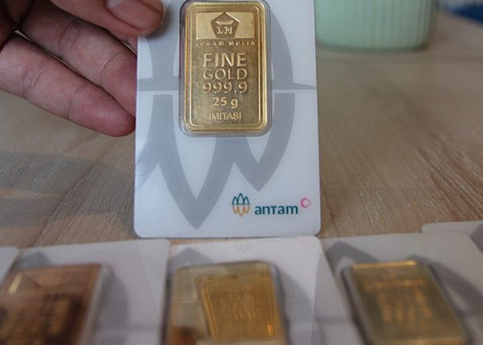 Harga Emas Pegadaian Hari Ini 14 Juli 2026 Turun, Antam, UBS, dan Galeri24 Kompak Terkoreksi