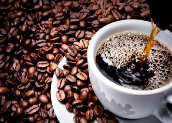 Aturan Konsumsi Kopi yang Aman untuk Menjaga Kesehatan Ginjal Tubuh