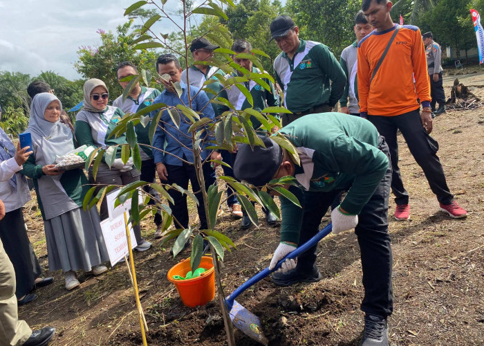 Bupati Yulianto Bersama Forkopimda Pasbar Tanam Ratusan Pohon Buah di Hutan Kota Padang Tujuh