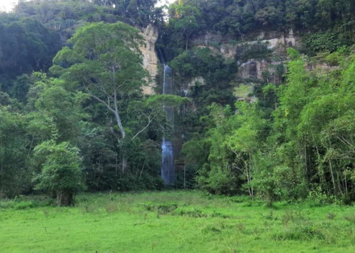 Sarasah Tanggo, Air Terjun di Lima Puluh Kota dengan Suasana Alam Nan Asri