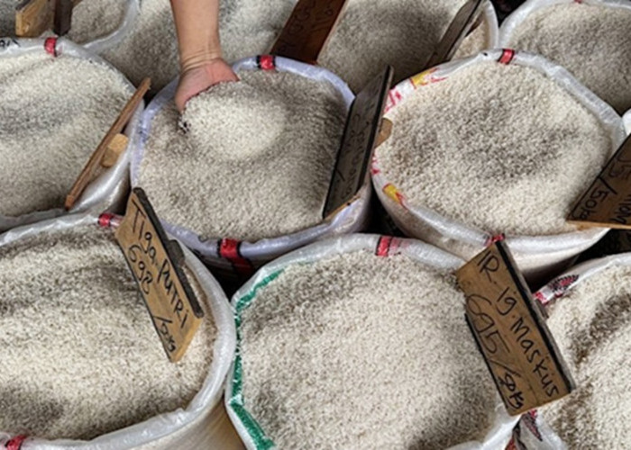 Bulog Sumbar Salurkan 2.241 Ton Beras untuk 74.716 Penerima Bantuan di Padang