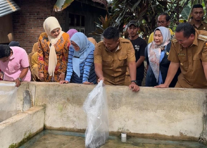 Pemprov Sumbar Dorong Ekonomi Lokal, Serahkan 100 Induk Lele Unggul ke Pembudidaya di Kota Pariaman