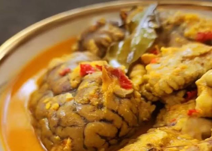  Ini Resep Gulai Otak Ala Padang yang Kaya Rempah