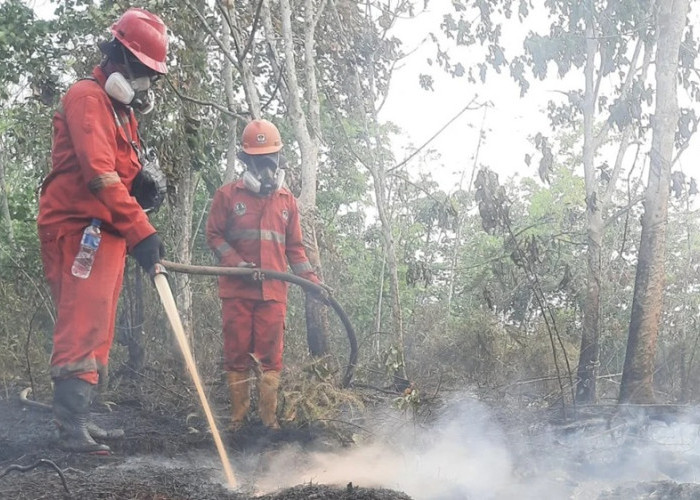 Titik Api di Sumbar Turun Lebih dari 50 Persen, Warga Diminta Tetap Waspada
