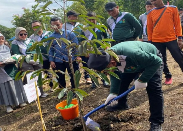Pemkab Pasaman Barat Tanam 387 Bibit Buah di Hutan Kota Padang Tujuh