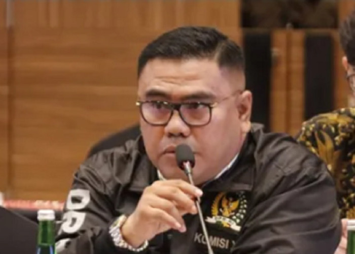 Anggota DPR Rico Alviano Minta Evaluasi Menyeluruh Usai Longsor Tambang Tewaskan 19 Orang