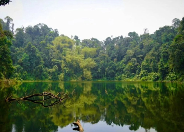 Danau Bontak Solok Selatan, Surga Tersembunyi di Balik Perbukitan Asri