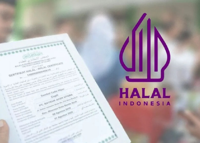 Cara Daftar Sertifikasi Halal via Aplikasi SIHALAL, Kuota Terbatas!