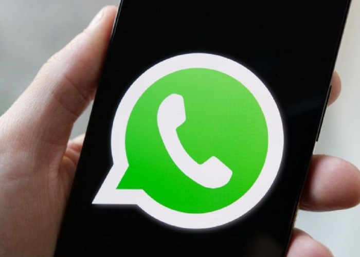 WhatsApp Tambah Fitur Multi-Perangkat, Ini Cara Mudah Logout Tanpa Sentuh Device