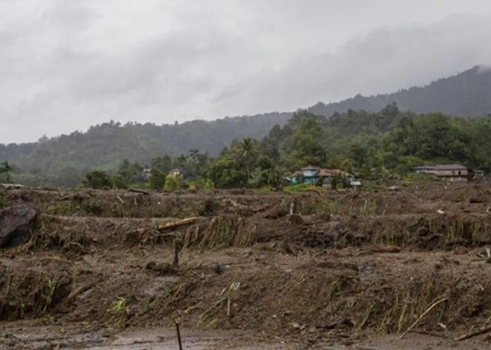 Upaya Rehabilitasi Sawah Pascabencana Sumatra, Kementan Alokasikan Anggaran Rp336 miliar