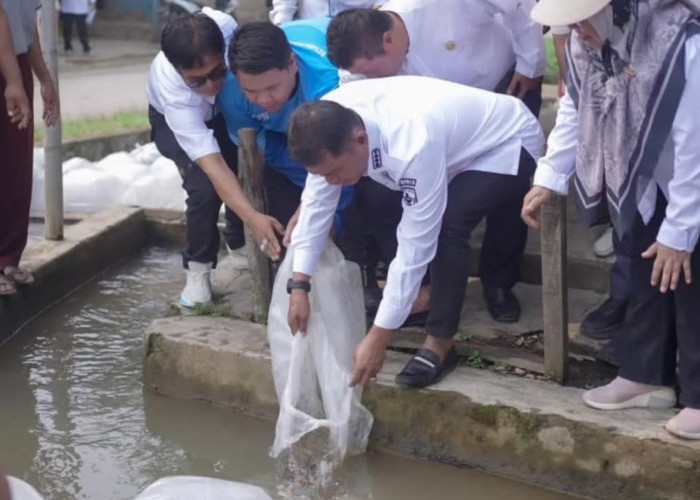 Bupati Solok Salurkan Bantuan Bibit Ikan dari Presiden kepada Masyarakat Koto Sani