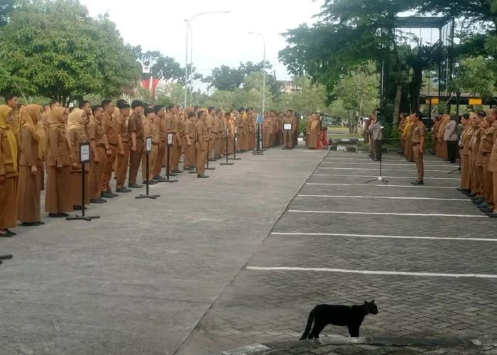 Pemko Padang Resmi Berlakukan WFA bagi ASN Selama Libur Nyepi dan Idulfitri 2026