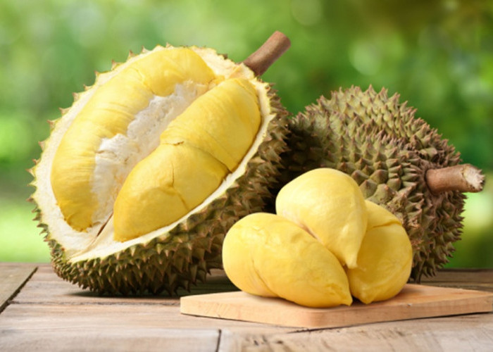 Tips Memilih Durian yang Bagus dan Matang Sempurna, Cek Aroma hingga Tangkainya