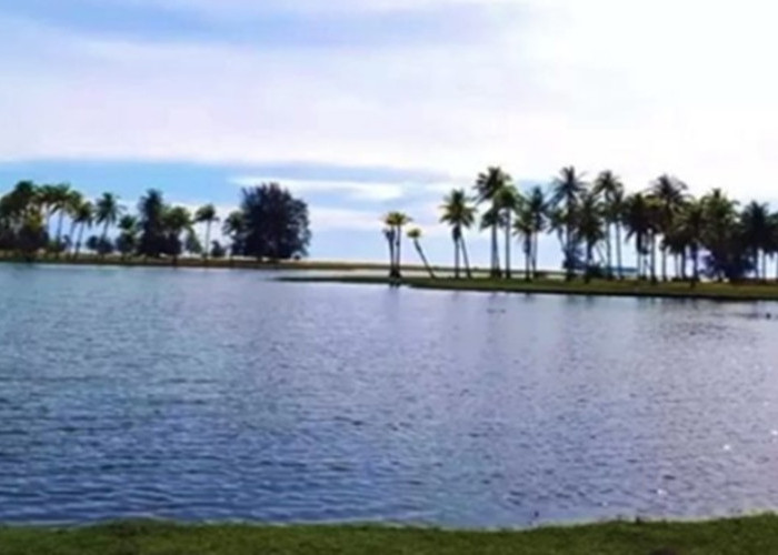 Pantai Muaro Mati di Agam Jadi Destinasi Favorit, Sajikan Panorama Alam dan Wisata Edukasi