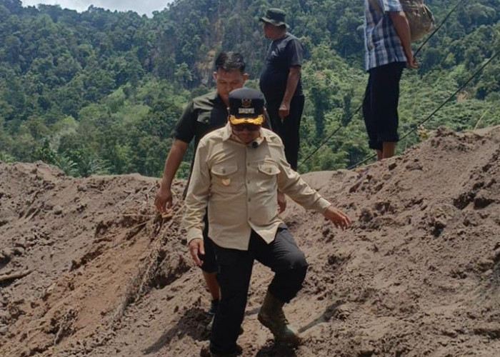Gerak Cepat, Wabup Risnaldi Tinjau Jalan Terban yang Mengisolasi Kawasan Sako