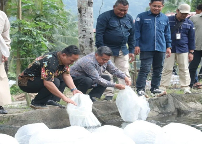 Bantuan KKP Rp10 Miliar Mulai Masuk ke Agam untuk Bangkitkan Perikanan Pasca Bencana