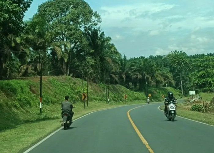 Manfaatkan Dana TKD, Pemkab Pasaman Barat Bangun 4 Paket Jalan Senilai Rp46,1 Miliar