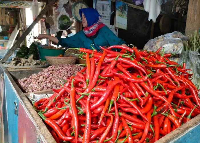 Harga Sejumlah Bahan Pangan di Sumatera Barat Hari Ini Turun, Cabai Rawit Merah Anjlok Tajam