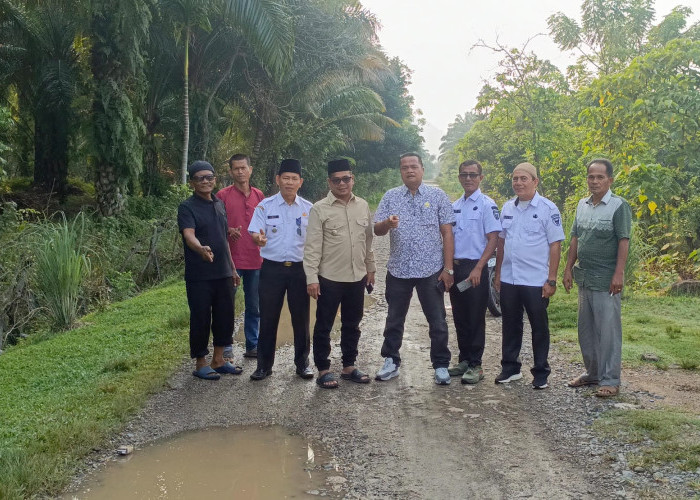 Wabup Pessel Tinjau Jalan Rusak di Sutera, Akses Evakuasi dan Ekonomi Warga Jadi Perhatian