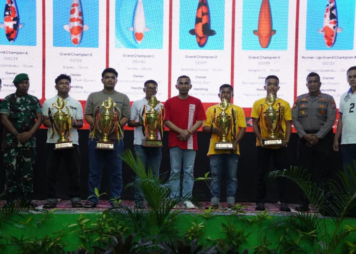 Majestic Koi Farm Batam Borong Gelar Grand Champion Koi Show Sumbar 2026
